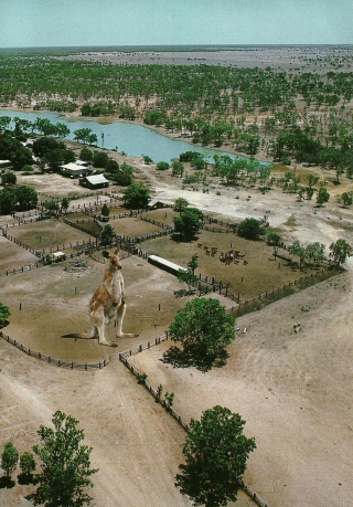 National Geographic Magazine Collage Image